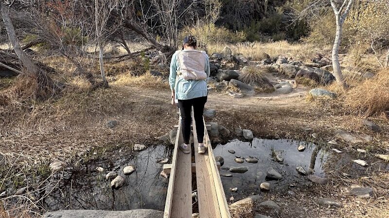 Dragonfly Trail - Cave Creek, AZ