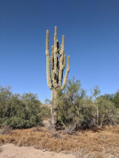 Dynamite Park - Cave Creek, AZ