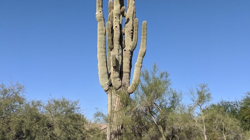 Dynamite Park - Cave Creek, AZ