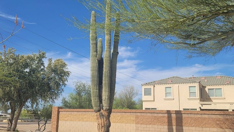 Dynamite Park - Cave Creek, AZ