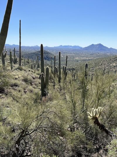 Spur Cross Ranch Conservation - Cave Creek, AZ