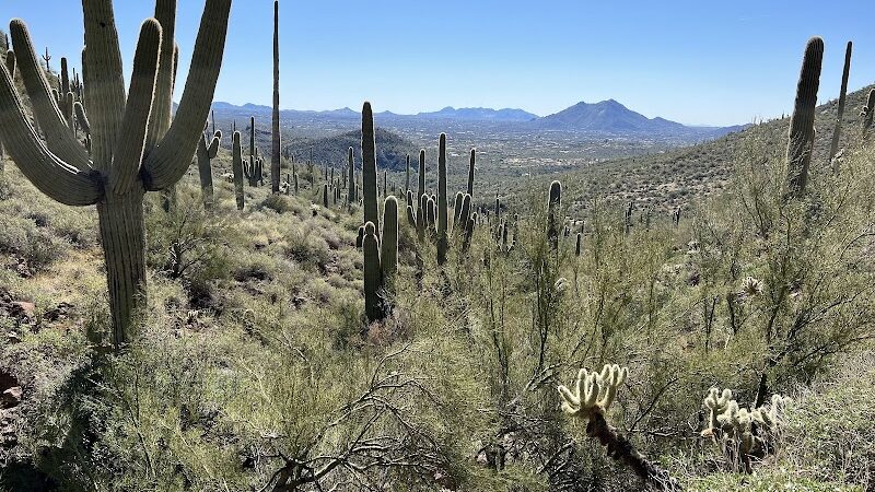 Spur Cross Ranch Conservation - Cave Creek, AZ