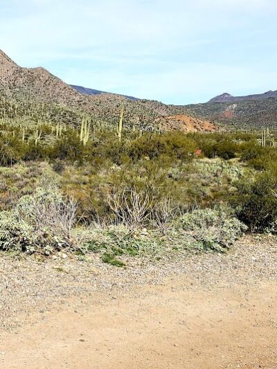 Spur Cross Ranch Conservation - Cave Creek, AZ