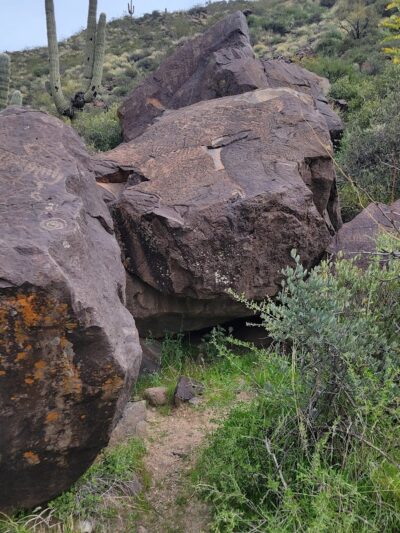 Spur Cross Ranch Conservation - Cave Creek, AZ