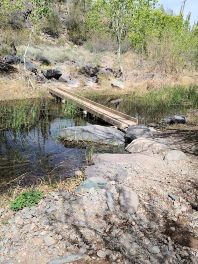 Spur Cross Ranch Conservation - Cave Creek, AZ