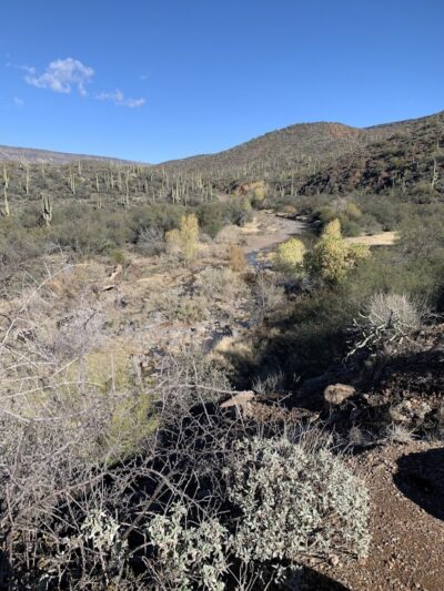 Spur Cross Ranch Conservation - Cave Creek, AZ