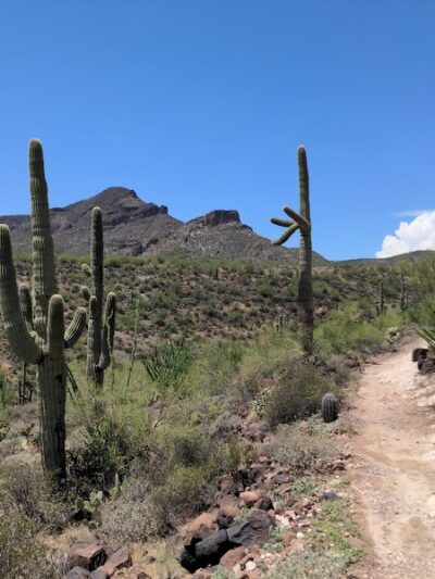Spur Cross Ranch Conservation - Cave Creek, AZ