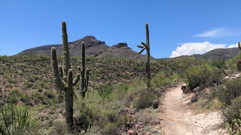 Spur Cross Ranch Conservation - Cave Creek, AZ