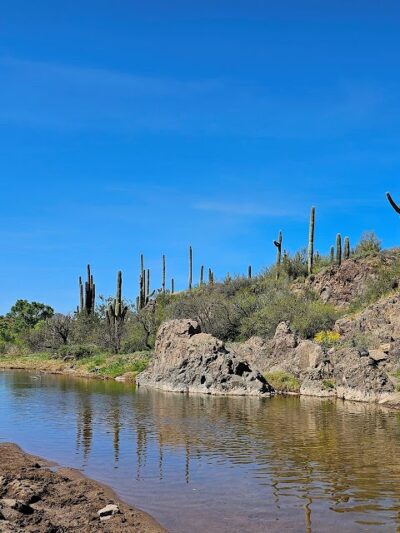 Spur Cross Ranch Conservation - Cave Creek, AZ