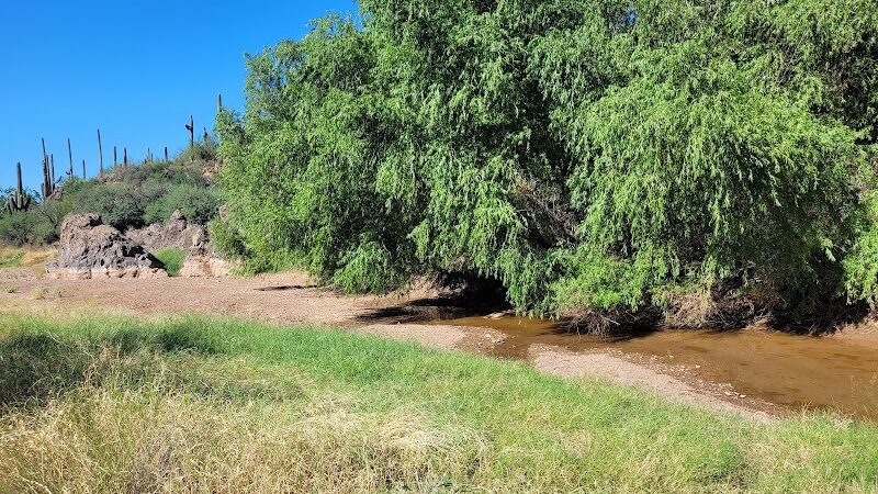 Spur Cross Ranch Conservation - Cave Creek, AZ