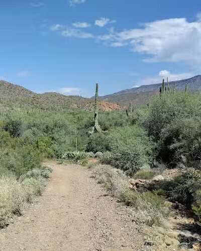 Spur Cross Ranch Conservation - Cave Creek, AZ