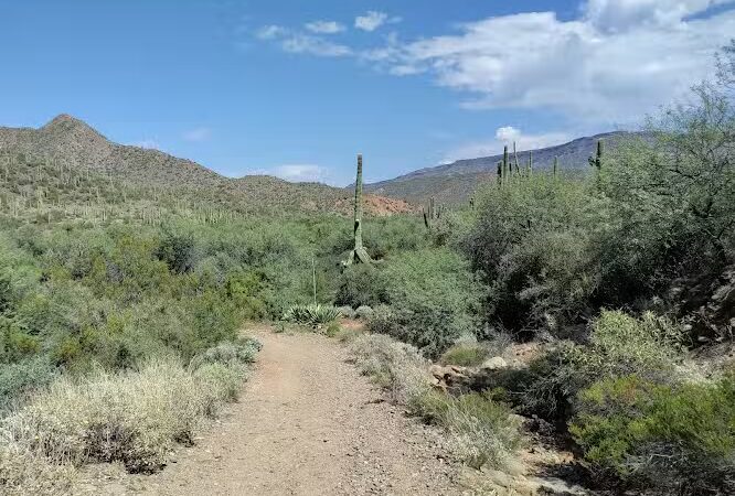 Spur Cross Ranch Conservation - Cave Creek, AZ