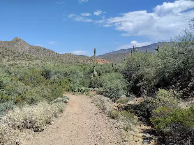 Spur Cross Ranch Conservation - Cave Creek, AZ