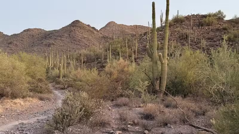 Cave Creek Regional Park - Cave Creek, AZ