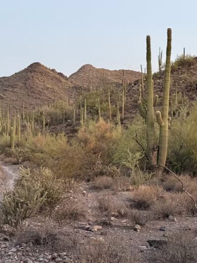 Cave Creek Regional Park - Cave Creek, AZ