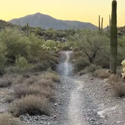 Cave Creek Regional Park - Cave Creek, AZ