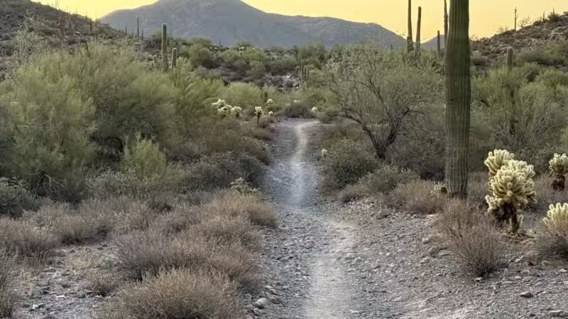 Cave Creek Regional Park - Cave Creek, AZ