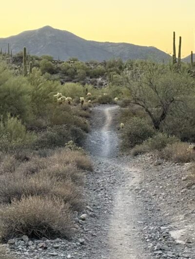 Cave Creek Regional Park - Cave Creek, AZ