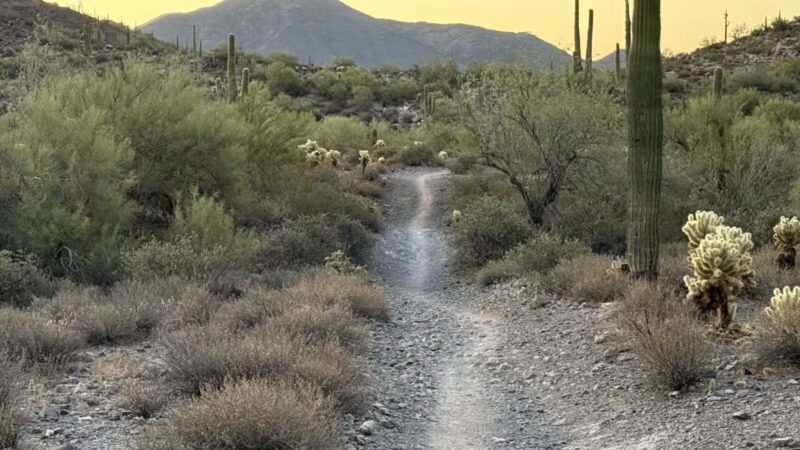 Cave Creek Regional Park - Cave Creek, AZ