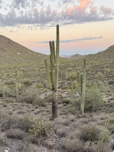 Cave Creek Regional Park - Cave Creek, AZ