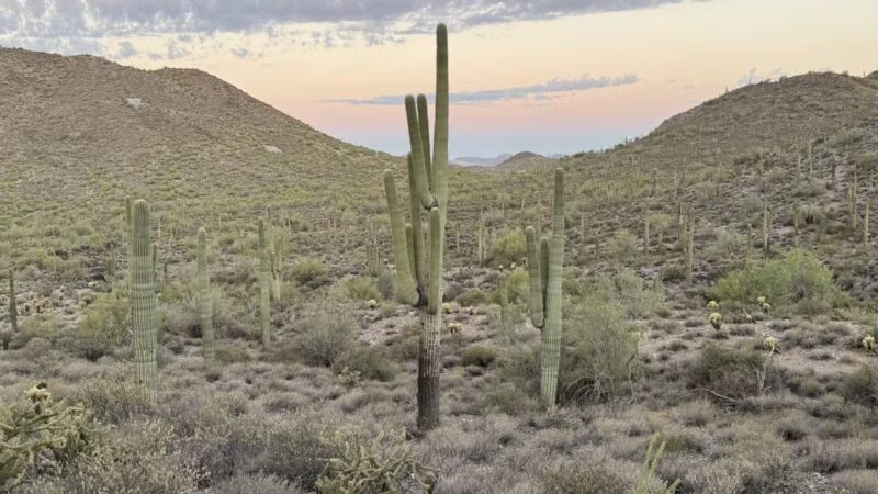 Cave Creek Regional Park - Cave Creek, AZ