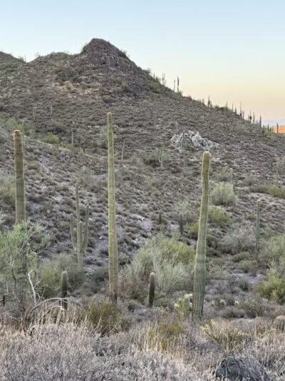 Cave Creek Regional Park - Cave Creek, AZ
