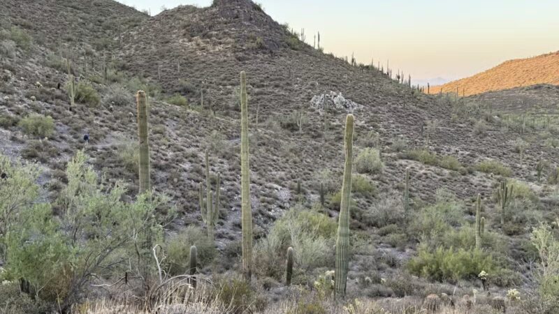 Cave Creek Regional Park - Cave Creek, AZ