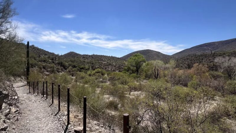Spur Cross Ranch Conservation - Cave Creek, AZ