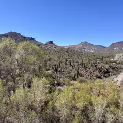 Spur Cross Ranch Conservation - Cave Creek, AZ