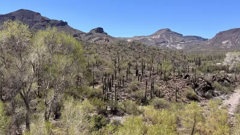 Spur Cross Ranch Conservation - Cave Creek, AZ