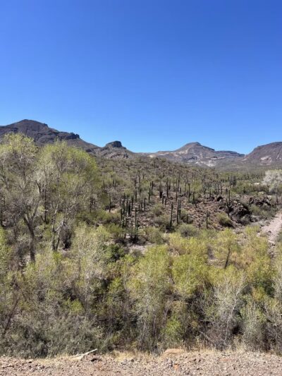 Spur Cross Ranch Conservation - Cave Creek, AZ