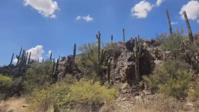 Spur Cross Ranch Conservation - Cave Creek, AZ