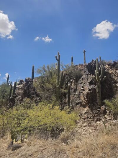 Spur Cross Ranch Conservation - Cave Creek, AZ