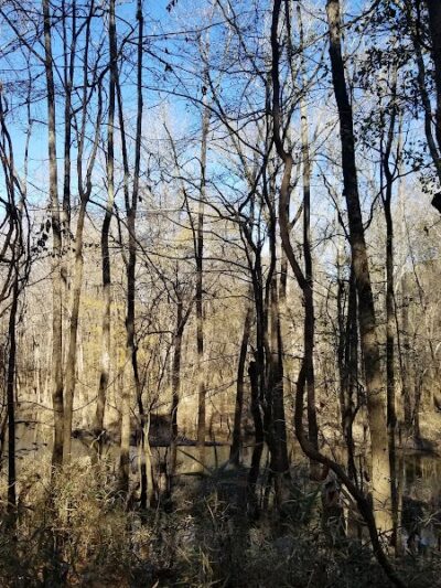 Cayce Riverwalk, Phase 4 Access - Cayce, SC