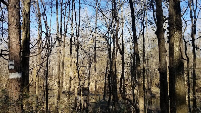 Cayce Riverwalk, Phase 4 Access - Cayce, SC