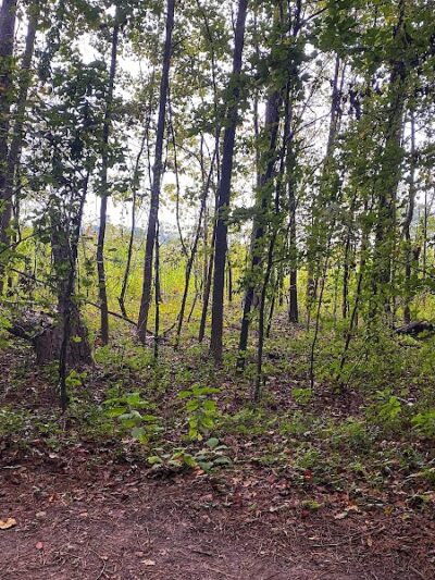 Cayce Riverwalk, Phase 4 Access - Cayce, SC