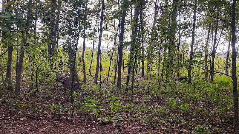 Cayce Riverwalk, Phase 4 Access - Cayce, SC