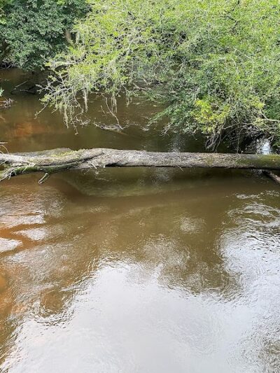 Cayce Riverwalk, Phase 4 Access - Cayce, SC