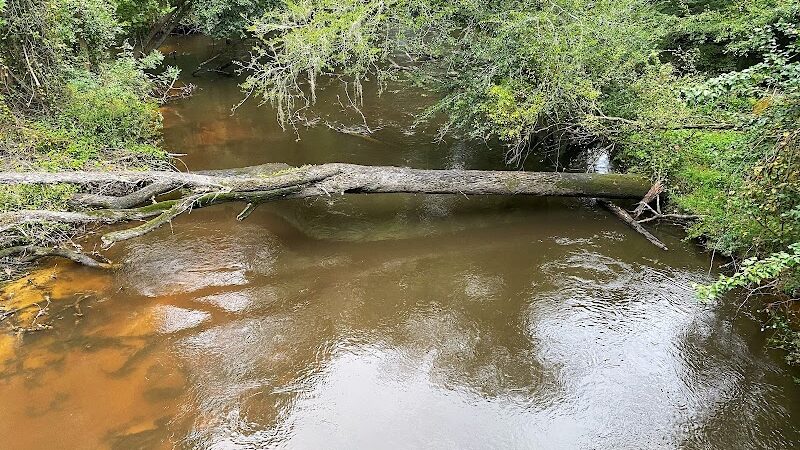 Cayce Riverwalk, Phase 4 Access - Cayce, SC