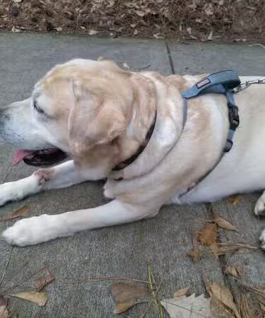 Cayce Riverwalk, Phase 4 Access - Cayce, SC