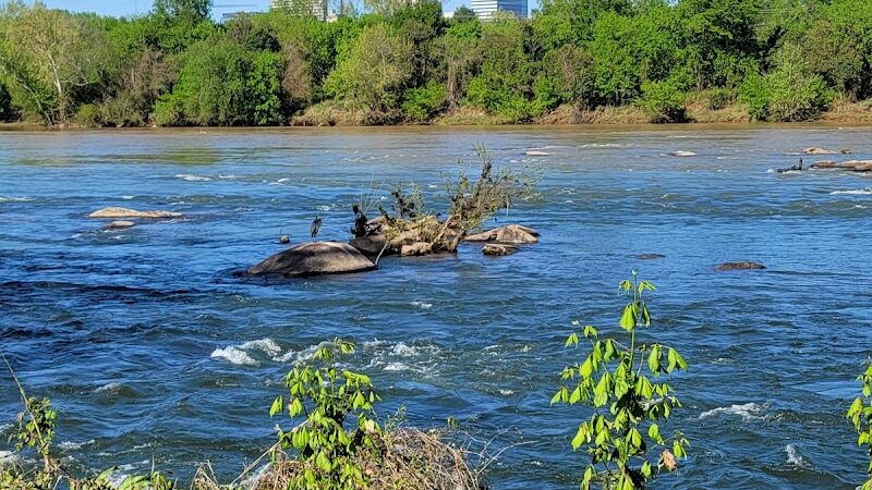 Cayce Riverwalk Picnic Shelter - Cayce, SC