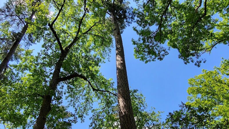 Guignard Park - Cayce, SC