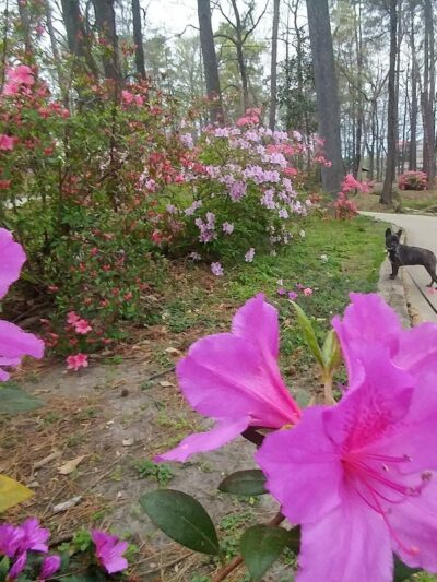 Guignard Park - Cayce, SC