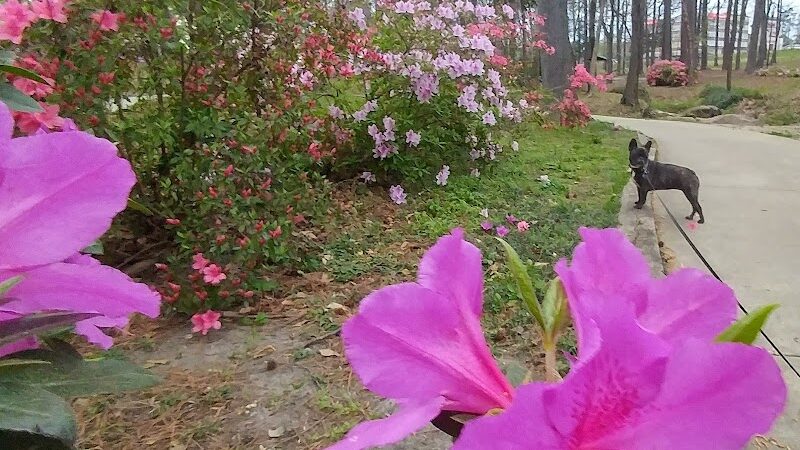 Guignard Park - Cayce, SC