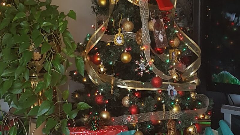 Sunnyside Park - Cayce, SC