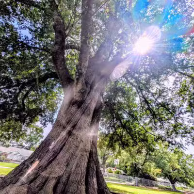 Sunnyside Park - Cayce, SC
