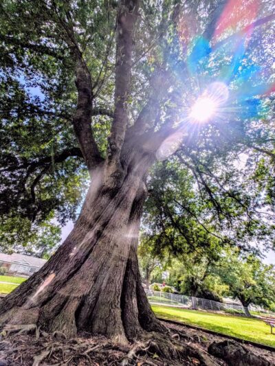 Sunnyside Park - Cayce, SC