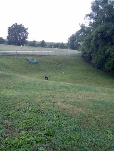 Cedar Falls Paw Park - Cedar Falls, IA