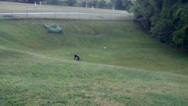 Cedar Falls Paw Park - Cedar Falls, IA