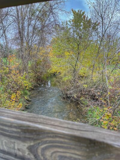 Cedar Falls Paw Park - Cedar Falls, IA